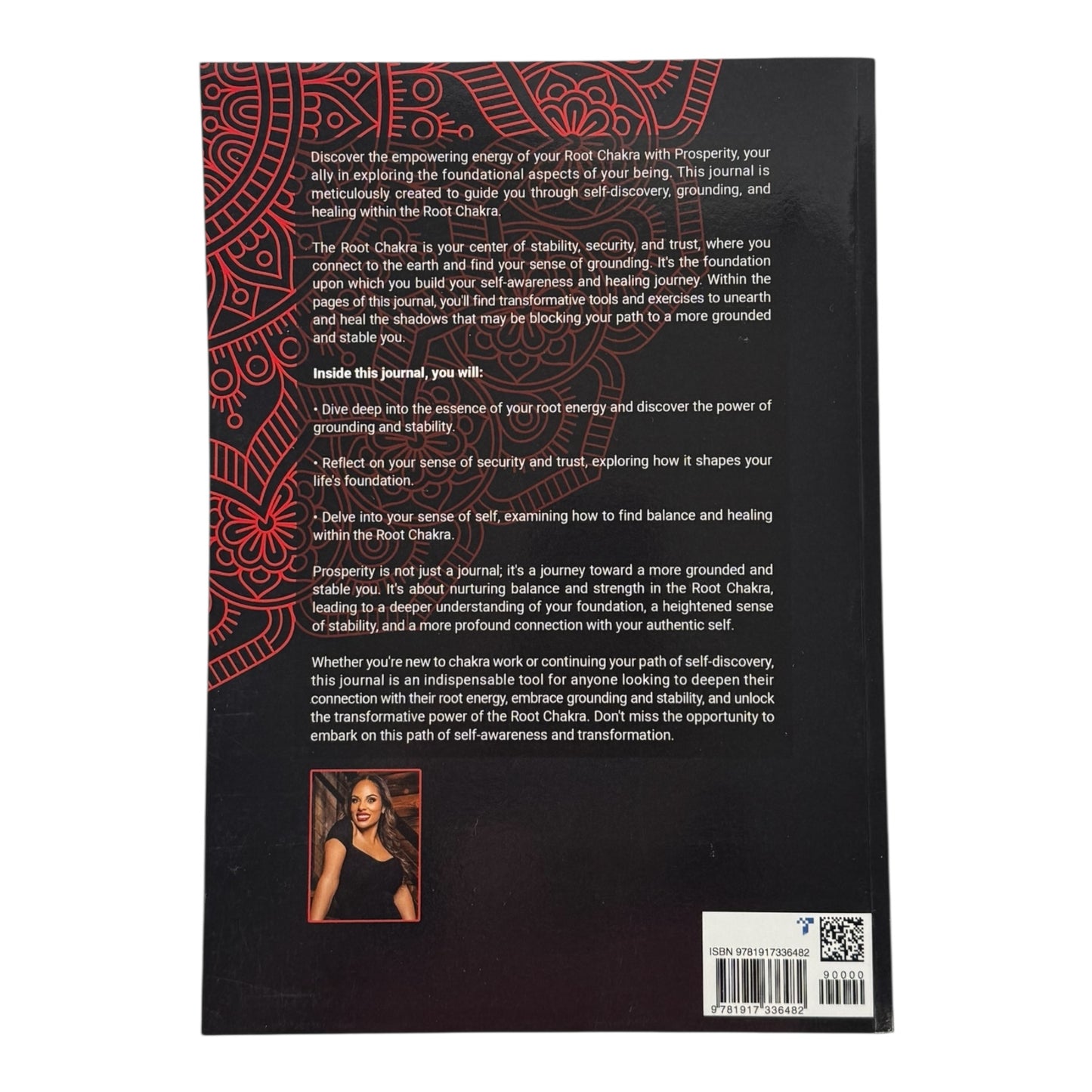 Prosperity Shadow Work Journal