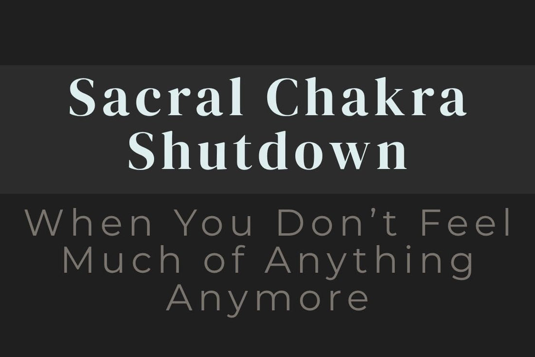 blog image cover "Sacral Chakra Shutdown: When You Don’t Feel Much of Anything Anymore" sacral chakra, emotional numbness, shutdown response, nervous system regulation, trauma healing, emotional disconnection, energy imbalance
