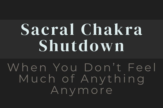 blog image cover "Sacral Chakra Shutdown: When You Don’t Feel Much of Anything Anymore" sacral chakra, emotional numbness, shutdown response, nervous system regulation, trauma healing, emotional disconnection, energy imbalance
