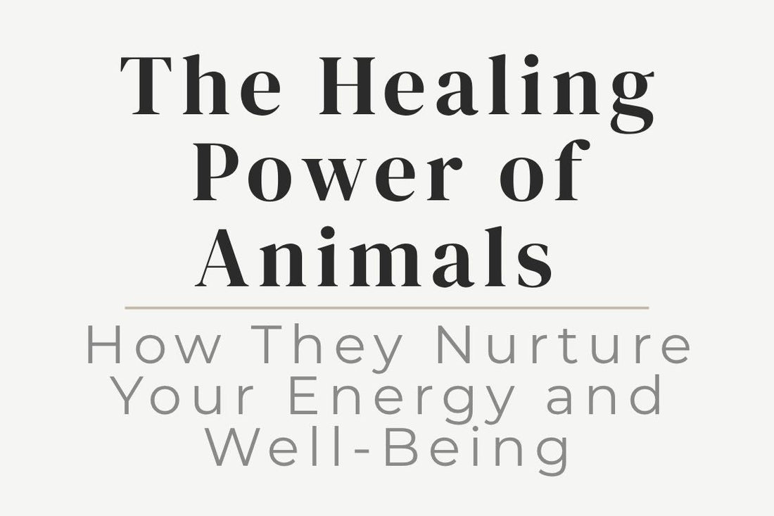 blog title cover “The Healing Power of Animals: How They Nurture Your Energy and Well-Being” animals healing, emotional support animals, energy healing, well-being, connection with animals, calming energy