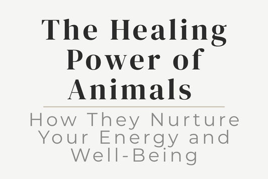 blog title cover “The Healing Power of Animals: How They Nurture Your Energy and Well-Being” animals healing, emotional support animals, energy healing, well-being, connection with animals, calming energy