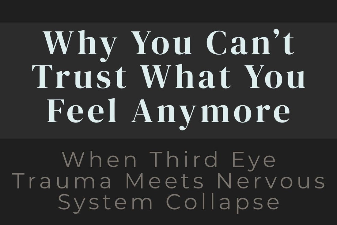 blog image cover "Why You Can’t Trust What You Feel Anymore: When Third Eye Trauma Meets Nervous System Collapse" third eye chakra, intuition blocks, trauma response, nervous system collapse, emotional confusion, somatic healing, inner guidance
