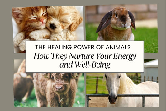 Blog banner for The Healing Power of Animals: nurturing energy, emotional well-being, and connection through interactions with animals.