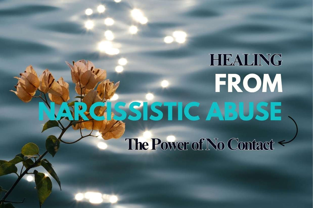 Blog banner for Healing from Narcissistic Abuse: using no contact to protect energy, rebuild boundaries, and reclaim personal power.