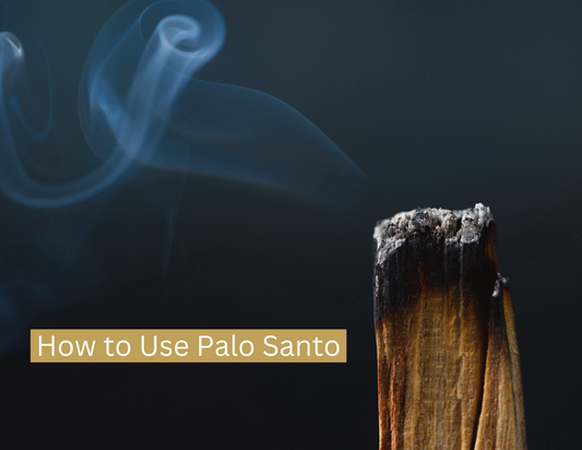 Harnessing the Sacred Energy: How to Use Palo Santo