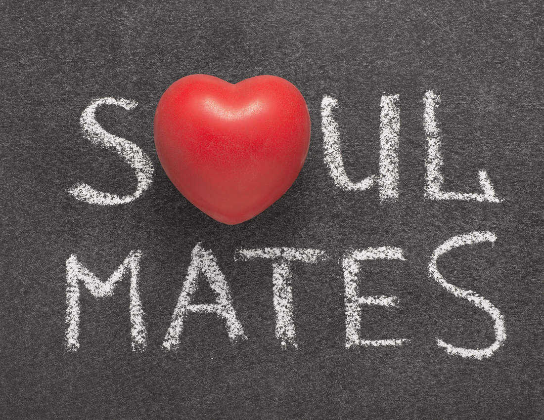 Soul Mate vs. Soul Fake: Unraveling the True Connection