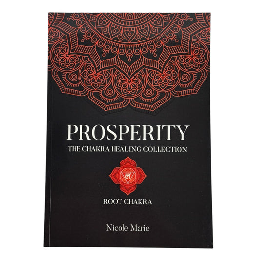 Prosperity Shadow Work Journal