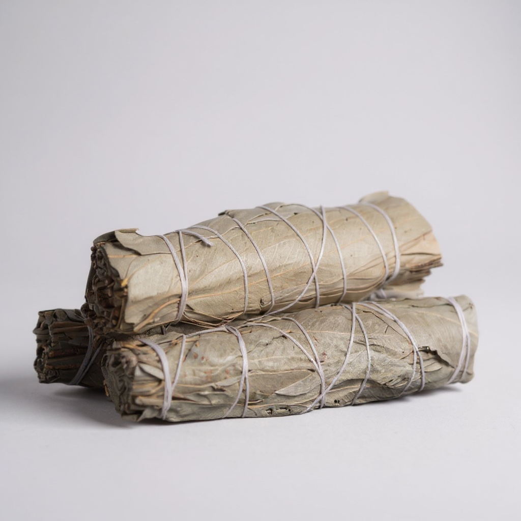 3-pack 5" Natural Eucalyptus Smudge Wands for spiritual cleansing, energy clearing, and throat chakra balance.