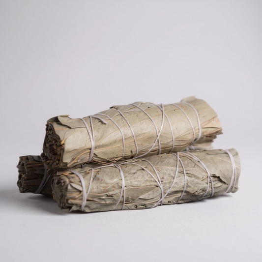 3-pack 5" Natural Eucalyptus Smudge Wands for spiritual cleansing, energy clearing, and throat chakra balance.